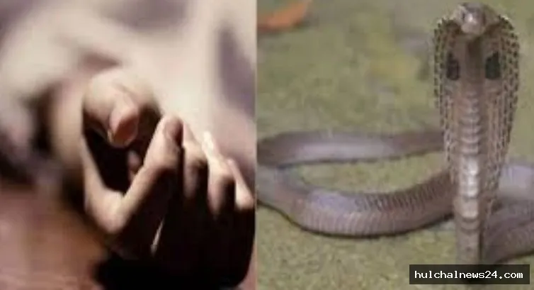 सारण में बढ़ी सर्पदंश की घटनाएं : सर्पदंश से एक मजदूर समेत दो युवक मौत ; परिजनों में मातम