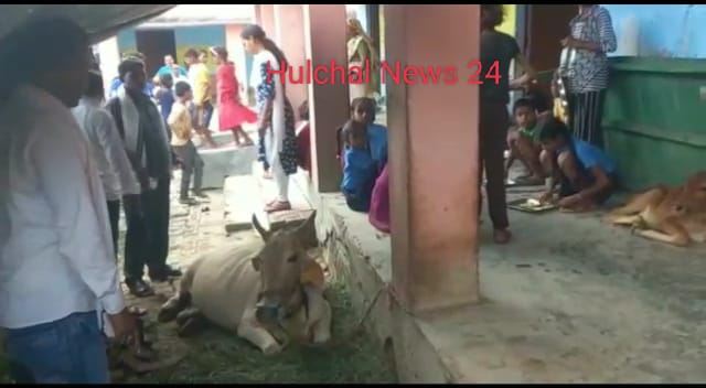 मांझी के एक विद्यालय में मवेशी संग भोजन करते छात्रों का वीडियो हुआ वायरल ; मवेशी के साथ ही बैठकर करते हैं पढ़ाई
