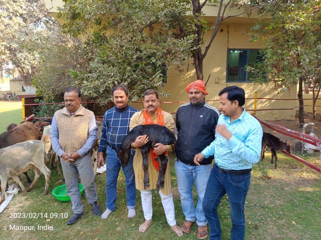गौशाला में गाय माता आलिंगन दिवस का किया गया आयोजन ; गौ माता के सभी उत्पादों का सही तरीके से रोजगार किया जाए तो बेरोजगारी की समस्या बहुत हद तक हो सकती है दूर