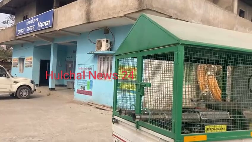 नगर निगम में फॉगिंग के नाम पर लाखों की लूट ; फॉगिंग नहीं होने से शहर में बढा मच्छरों का प्रकोप ; कालाजार और मलेरिया फैलने की आशंका