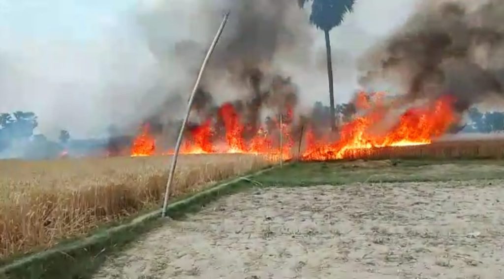 भीषण अगलगी ने निगल लिया कई परिवारों का निवाला ; 2.5 बीघा खेत में लगी गेहूं की फसल जलकर स्वाहा