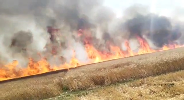 डेढ़ सौ बीघे की फसल में लगी थी जबरदस्त आग बुझाने की बजाय युवा बना रहे थे वीडियो