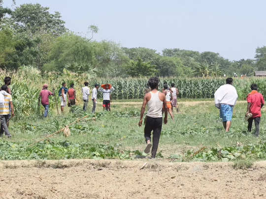 सीतामढ़ी में तेंदुए ने फिर किया एक और शिकार, रेस्क्यू के लिए लगाया पिंजरा पर नहीं मिली कामयाबी