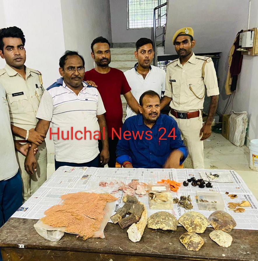ब्रेकिंग : छपरा में अवैध वन्य जीव व्यापार का भंडाफोड़ ; शहर से प्रसिद्ध दो व्यवसायी वन्यजीवों के खाल, पंजे व सिंग के साथ गिरफ्तार