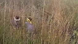 प्रेम प्रसंग में डबल म’र्डर : प्रेमी-प्रेमिका को गो’ली मार’कर फें’का ; चुप्पी साधे मोहल्लेवासी