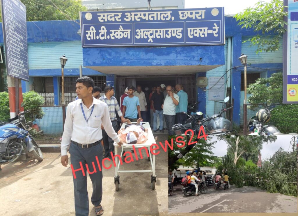 बारिश के कारण टूट कर गिरे विशाल पेड़ की चपेट में आने से समाहरणालय का एक परिचारी एवं एक पेंटर घायल ; 2 घंटे तक आवागमन बाधित