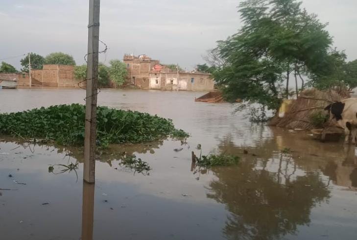 गंगा के जलस्तर मे वृद्धि से दियरा इलाके मे घुसा गंगा का पानी ; जनजीवन हुआ प्रभावित, आवागमन भी अवरुद्ध