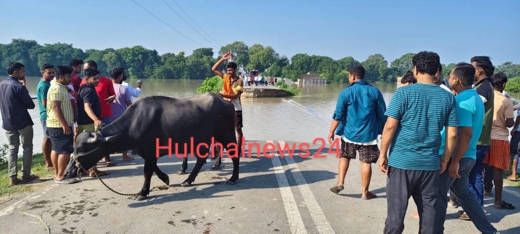 ब्रेकिंग : बिहार और यूपी का टूटा संपर्क ; बाढ़ के पानी में बह गया जयप्रभा सेतु का एप्रोच रोड