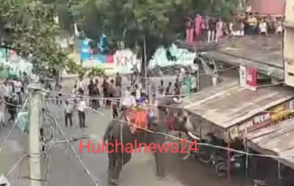 बिग ब्रेकिंग : जुलूस में सनक गया हाथी ; एक की मौत ; महावत के साथ दो बच्चों को लेकर चंवर में  गुम हो गया हाथी