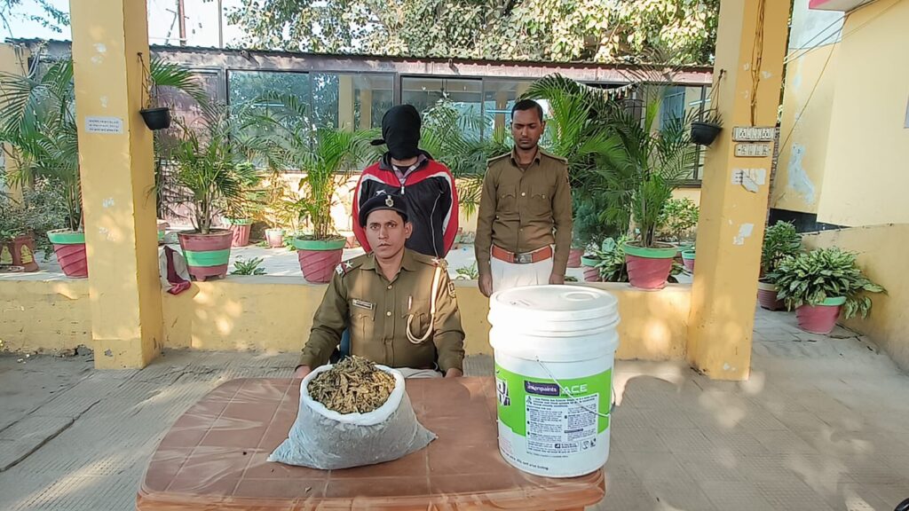 शहर में बिक रहा था गांजा ; गुप्त सूचना पर पुलिस ने तीन किलोग्राम गांजा के साथ एक तस्कर को किया गिरफ्तार