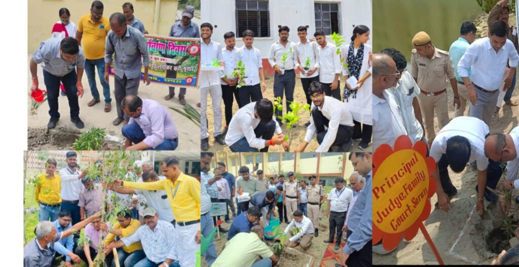 विश्व पर्यावरण दिवस पर छपरा मेडिकल कॉलेज, इंजीनियरिंग कॉलेज, विवेकानंद फार्मेसी कॉलेज सहित अन्य जगहों पर पौधारोपण कर पर्यावरण संरक्षण का लिया गया संकल्प