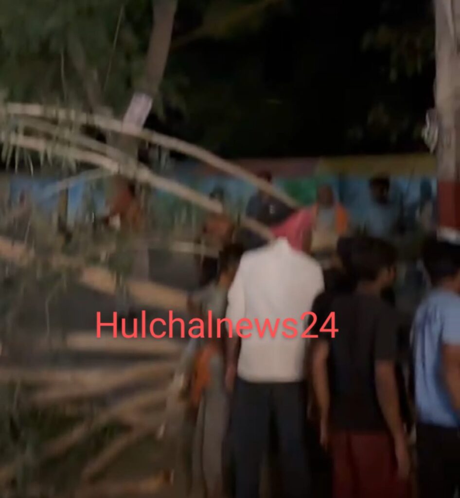 डाकबंगला रोड में पेड़ की डाल टूटकर गिरने से एक राहगीर गंभीर ; पहुंचाया गया अस्पताल