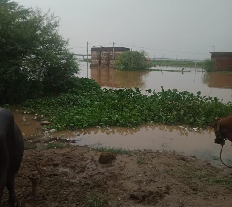 गंगा, सरयू और सोन तीनों नदी के जलस्तर मे लगातार वृद्धि जारी ; जलमग्न हुए कई गांव