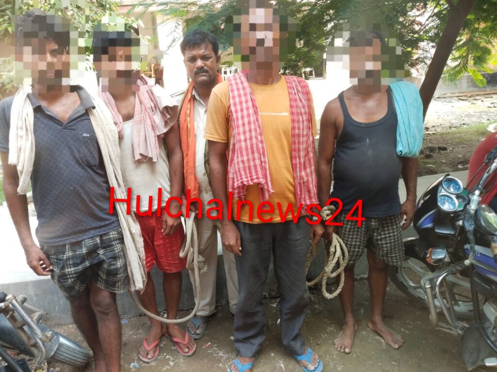 तेरह मवेशियों को पूर्णिया ले जा रहे चार तस्कर गिरफ्तार ; पिकअप वैन जब्त