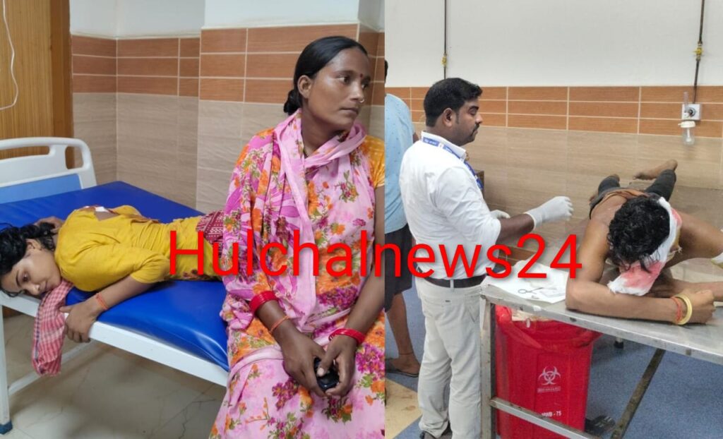 घर में चल रही थी शादी की तैयारी ; पड़ोसियों से मारपीट के बाद चाकूबाजी में युवती भी गंभीर